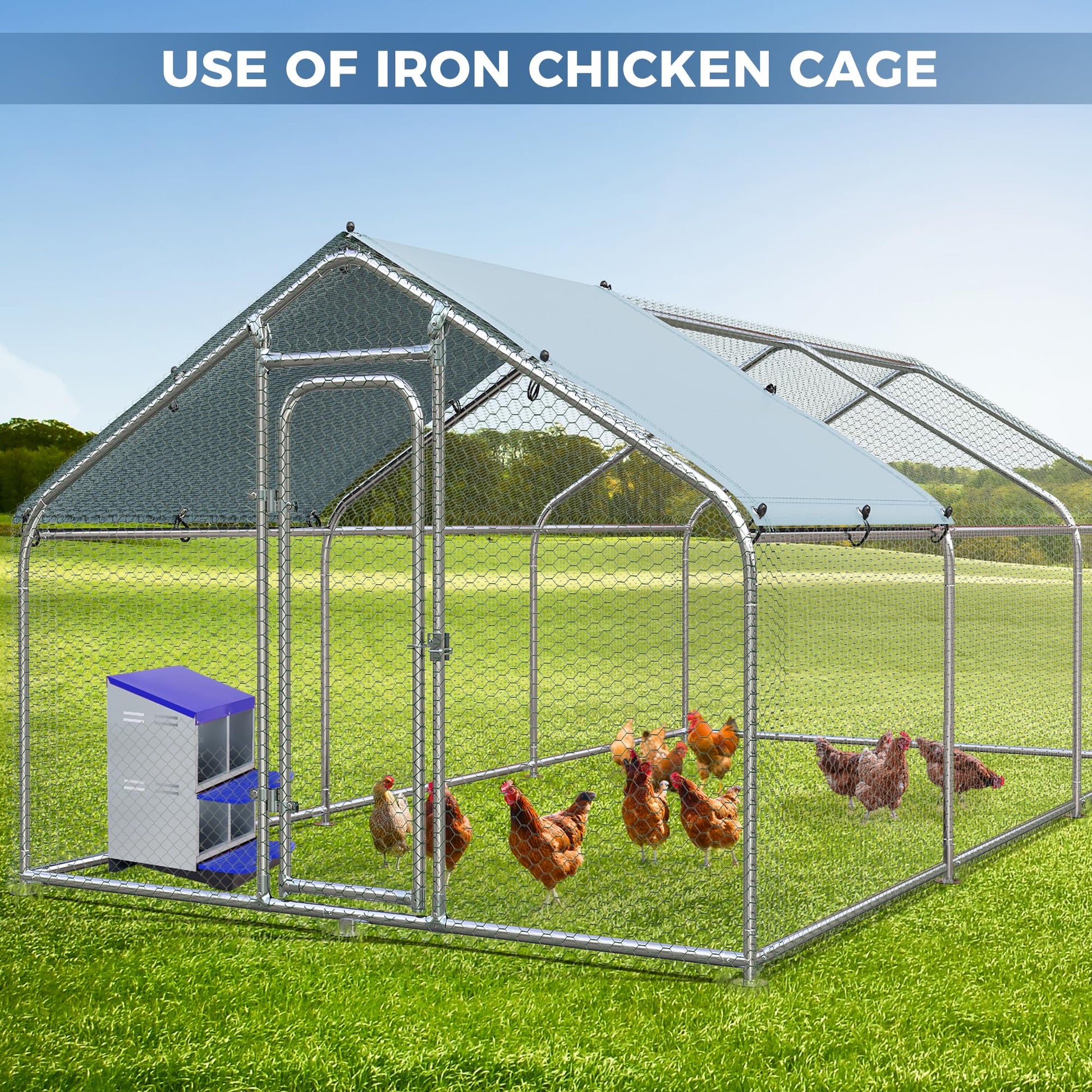 Nido per galline Garvee a 3 fori, in metallo, antiruggine, con vassoio estraibile, per cortile e giardino, comodo e robusto