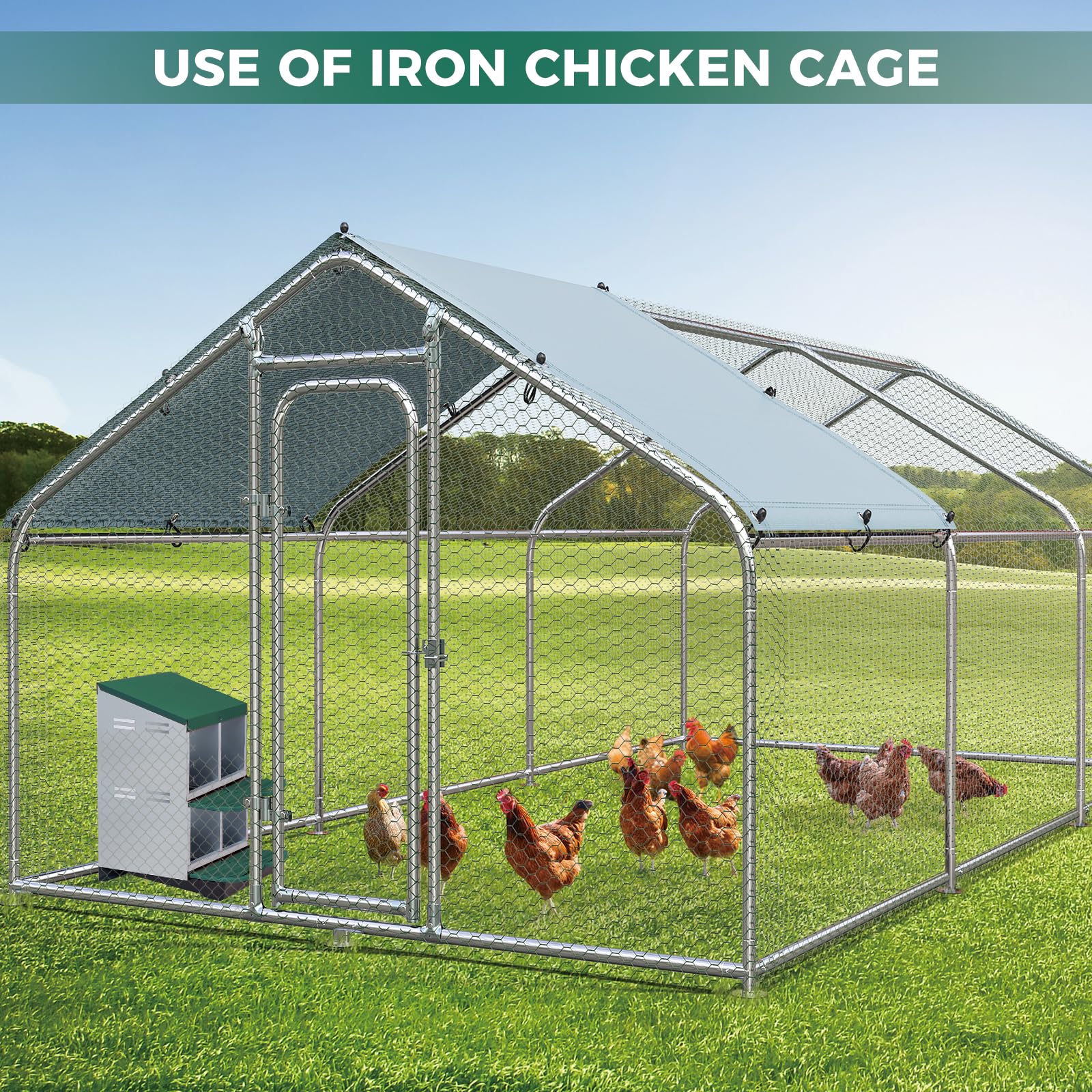 Nido per polli Garvee con 4 scomparti, acciaio zincato, trespolo antiscivolo, resistente alle intemperie, verde, per pollai