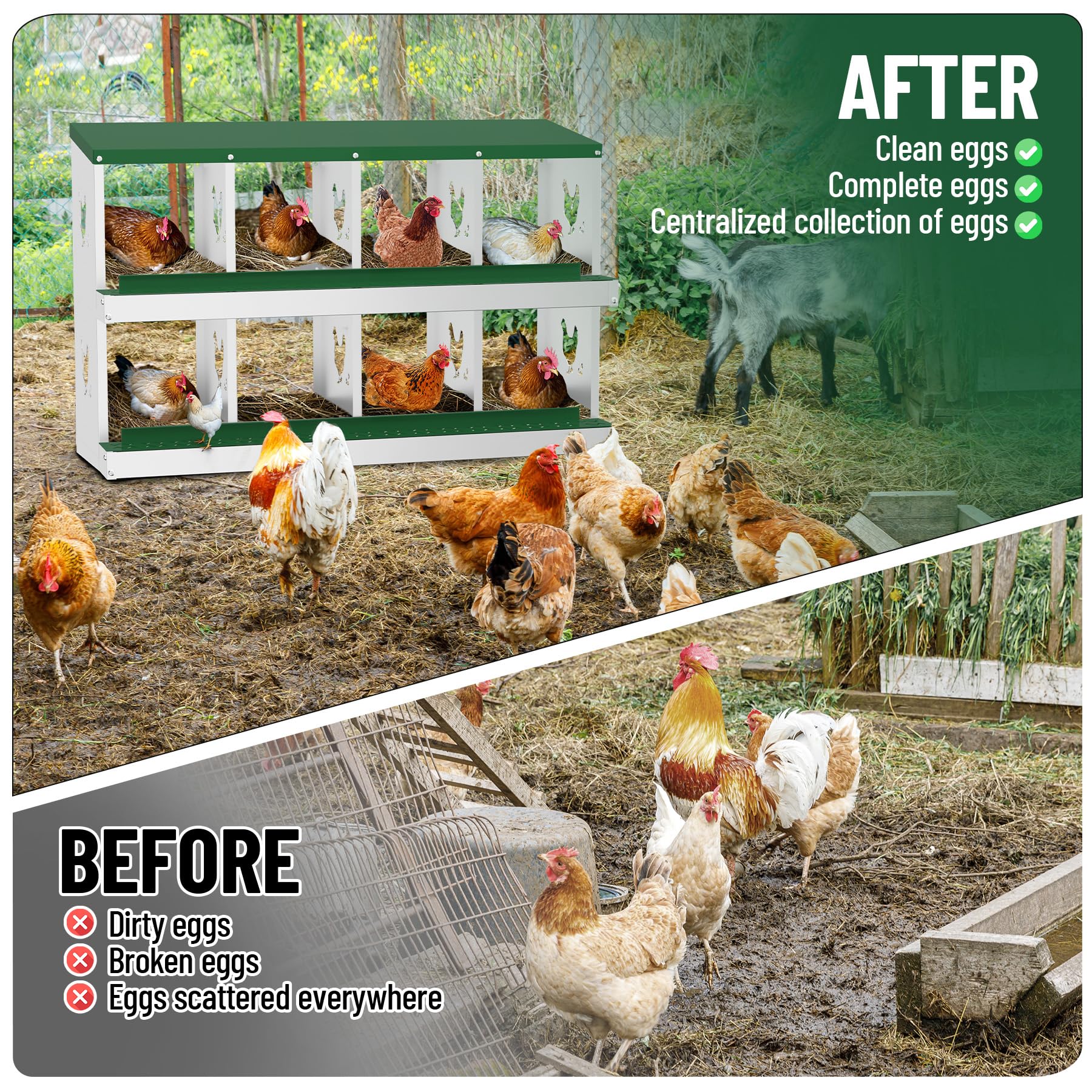 Nidi Garvee – Metallo, 8 scomparti, resistenti alle intemperie, per allevamenti avicoli e giardini, 42,72"L x 16,93"W x 26,57"H