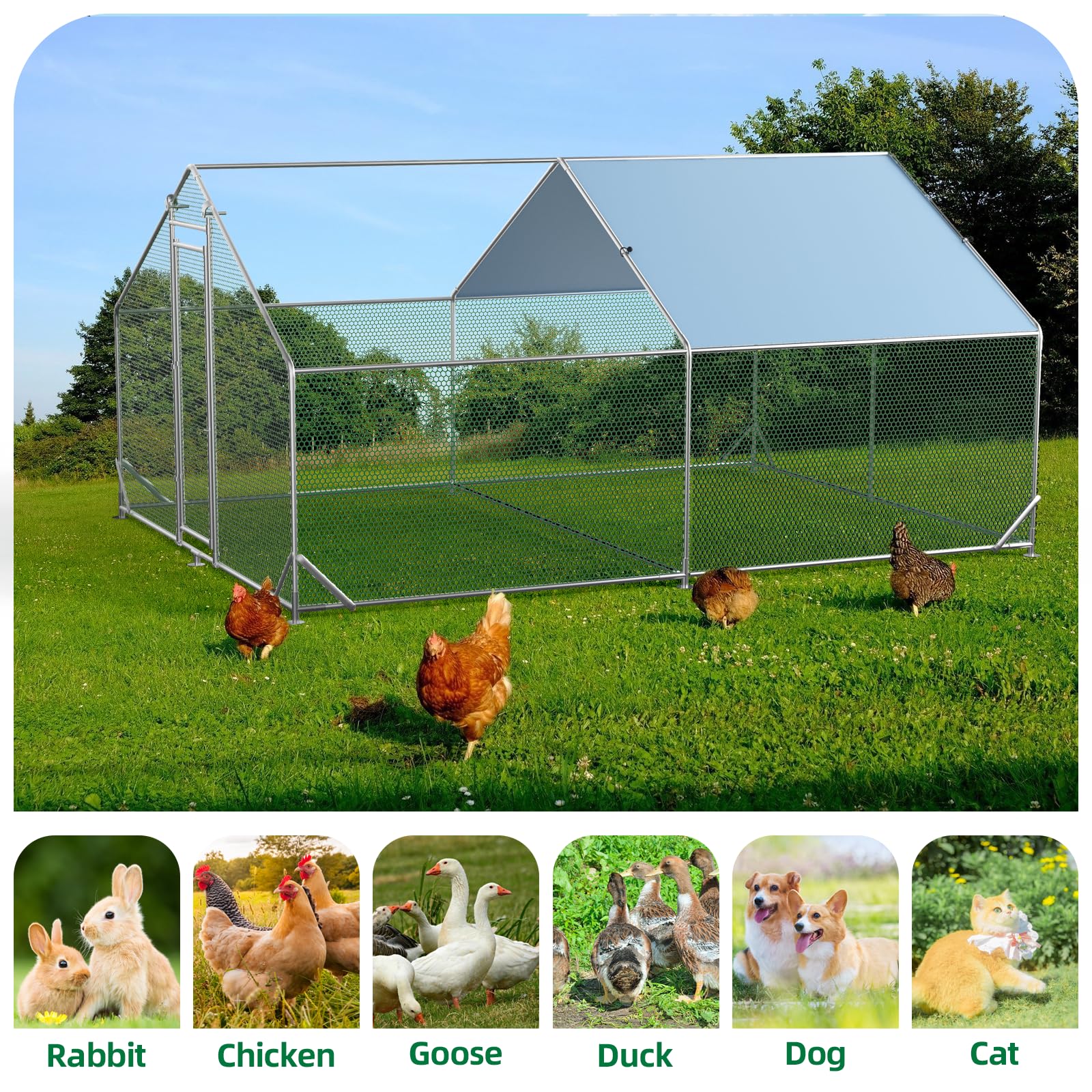 Pollaio in metallo Garvee Large 3 x 4 x 1.95 m – Due scomparti, struttura in tubo di acciaio triplo rinforzato per giardino e fattoria