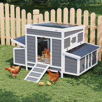 Pollaio in legno Garvee per 4-6 galline con tetto resistente alle intemperie, 2 nidi, connettori in metallo, giardino, 54x34x34 pollici, legno naturale