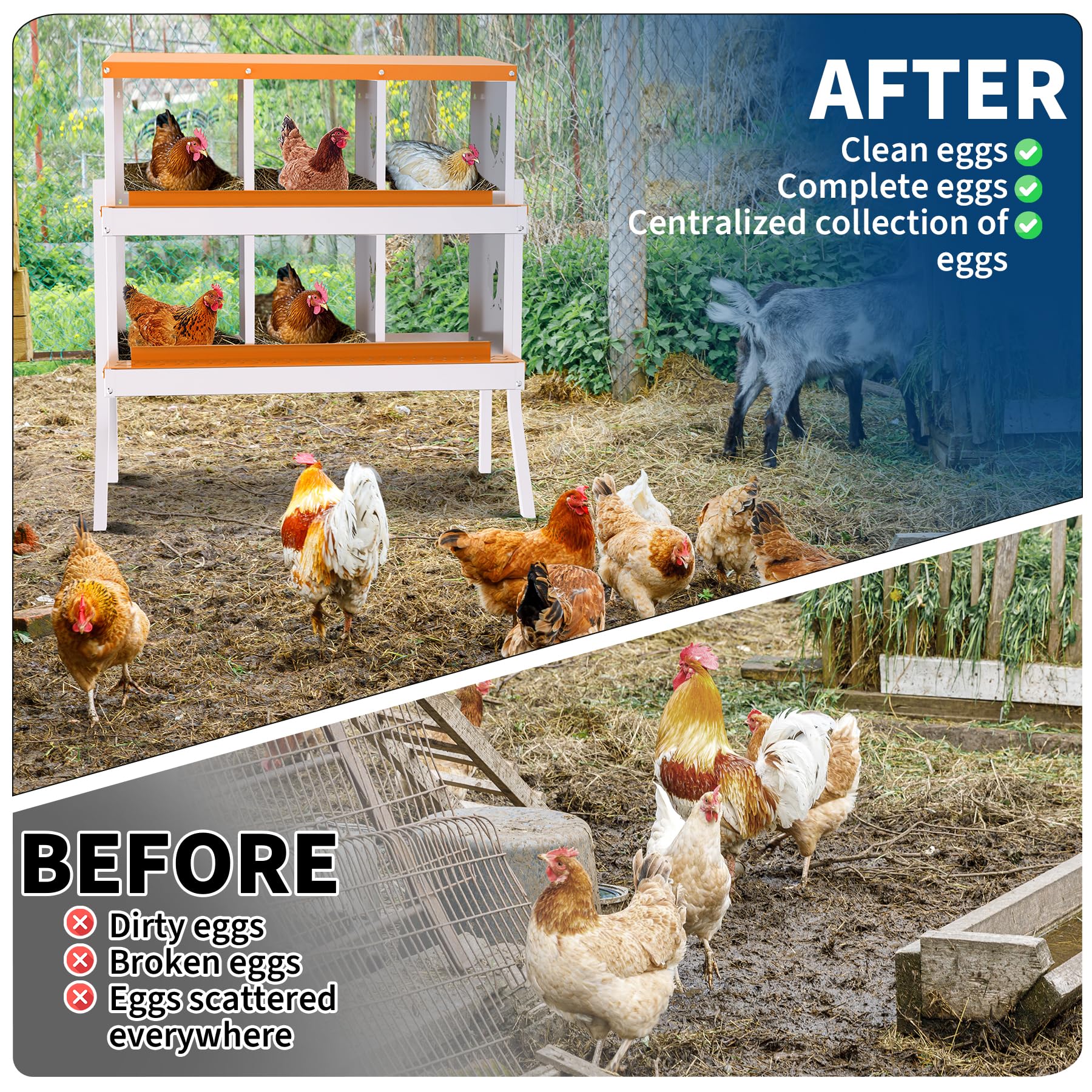 Nido per galline Garvee, 6 scomparti, acciaio zincato, antiruggine, confortevole, con staffe, arancione, per giardino e fattoria