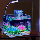 Garvee Piccolo Acquario con Luce, Vista a 360°, Schermo panoramico, Materiale PS, Antiurto, Base Antiscivolo, Montabile a Parete per Soggiorno e Ufficio, Trasparente, Compatto - Grande acquario da tavolo + lampada a morsetto da 3 W