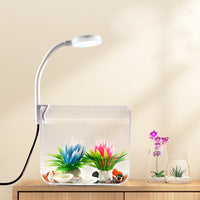 Garvee Piccolo Acquario con Luce, Filtro a Parete, Base Antiscivolo per Soggiorno, Vista a 360°, Schermo Panoramico, Materiale PS, Set Iniziale, Trasparente