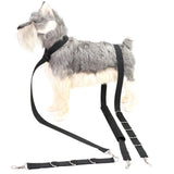 Garvee Set Cura Cani 3 Pezzi Nylon Blu Con Cintura Addominale Imbottita E Anelli D Regolabili Per Bagno E Addestramento - Blau