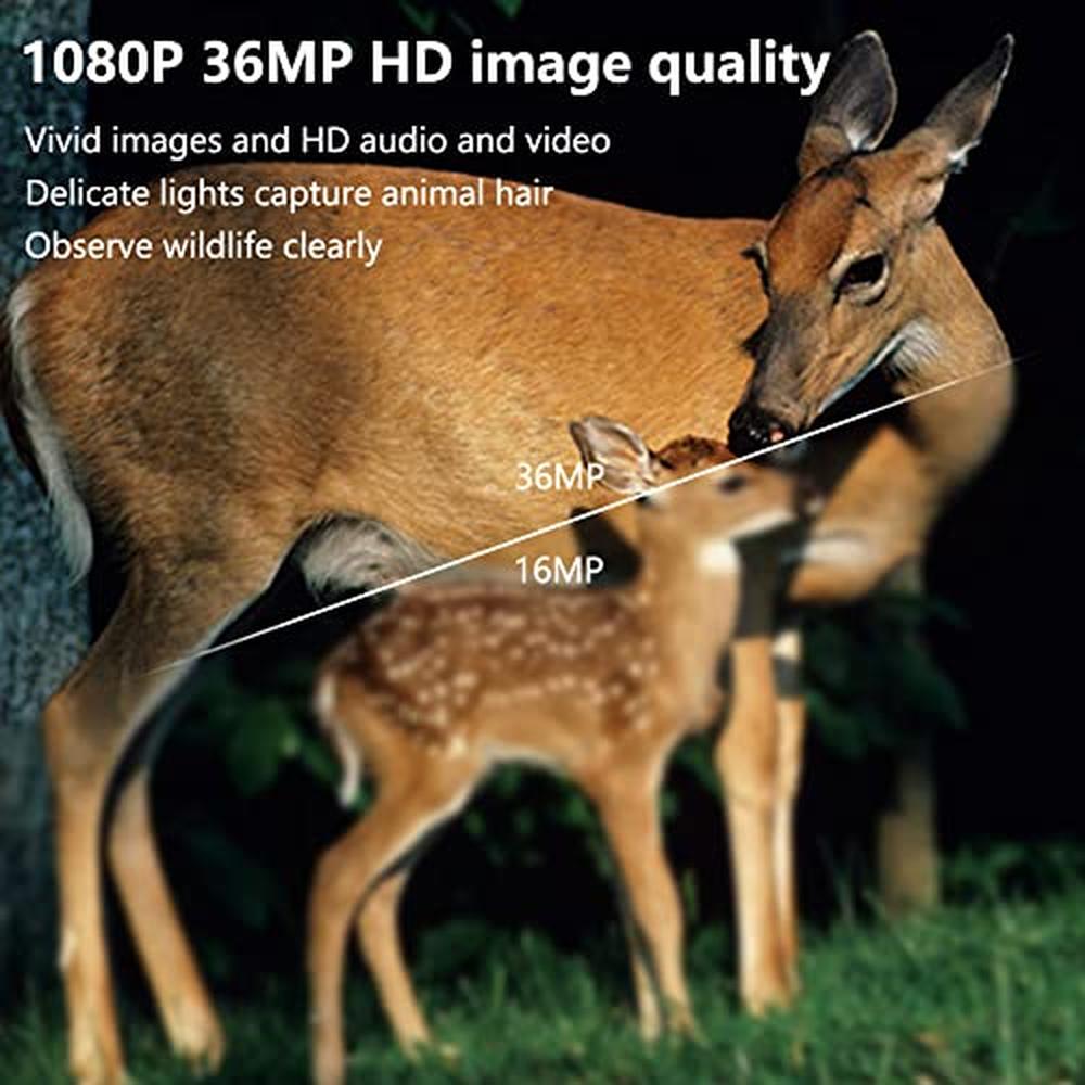 Garvee Mini Trail Camera 1080p 36MP Trasparente Confezione da 2 con scheda da 32 GB per la sorveglianza del giardino esterno