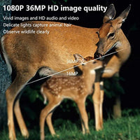 Garvee Mini Trail Camera 1080p 36MP Trasparente Confezione da 2 con scheda da 32 GB per la sorveglianza del giardino esterno