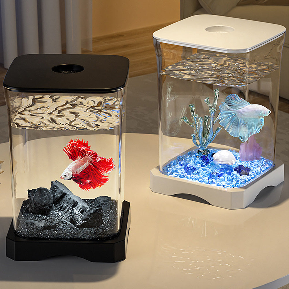 Set completo per acquario Garvee Betta Fish con filtro, in vetro da 2 galloni, compatto e decorativo, per casa e ufficio