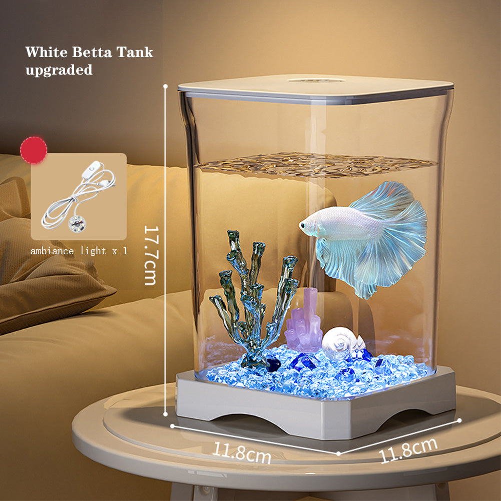 Set completo per acquario Garvee Betta Fish con filtro, in vetro da 2 galloni, compatto e decorativo, per casa e ufficio
