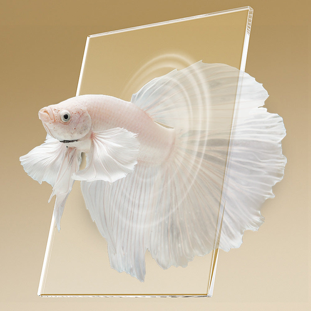 Acquario per pesci Betta Garvee da 2 galloni, set completo con filtro in vetro decorativo per casa e ufficio