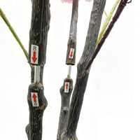 PHK_394W8UFR