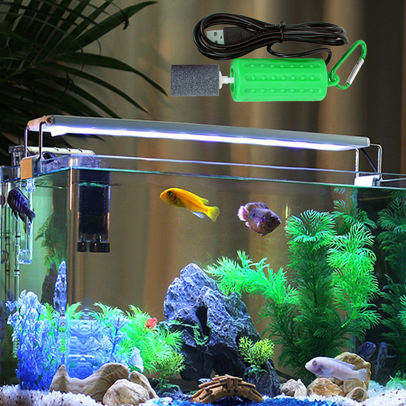 Garvee Mini Pompa ad Aria USB per Acquario Verde per Acquari di Piccole e Medie Dimensioni, Silenziosa, a Risparmio Energetico, Portatile, 7x3cm