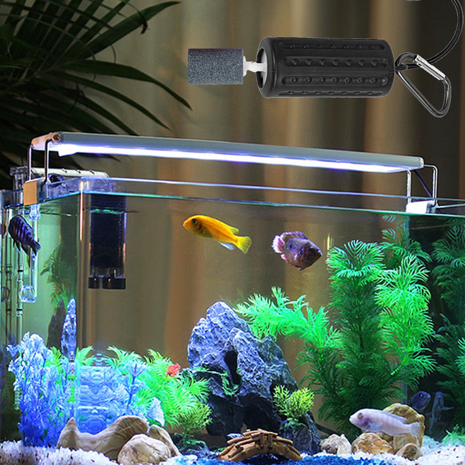 Pompa ad aria USB per acquario Garvee Mini, silenziosa, a risparmio energetico, durevole, in silicone, portatile, per acquari di piccole e medie dimensioni, per esterni, 7x3 cm