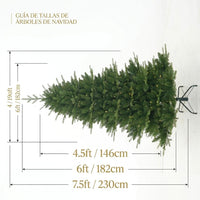 PHK_3CJV43NU