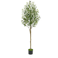 Albero di ulivo artificiale Garvee da 6 piedi con tronco in legno per ufficio e soggiorno, regolabile, facile da pulire, design realistico, verde