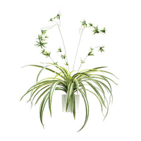 Garvee set da 2 pezzi di piante artificiali sospese Chlorophytum comosum, plastica con vaso, per uso interno ed esterno, verde