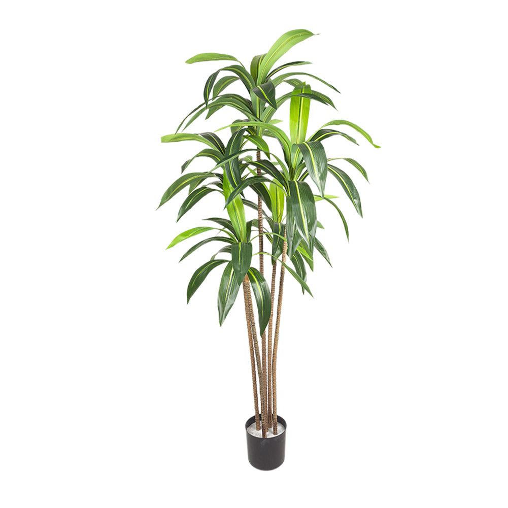 Garvee Pianta artificiale di legno di ferro brasiliano, 6 piedi, albero da giardino, 5 tronchi, flessibile e facile da curare, materiale PE, moderno per casa e ufficio, verde