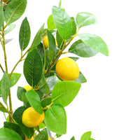 Albero di limone artificiale Garvee da 5 piedi, realistico, facile da curare, durevole, resistente ai raggi UV, compatto, per interni e verande.