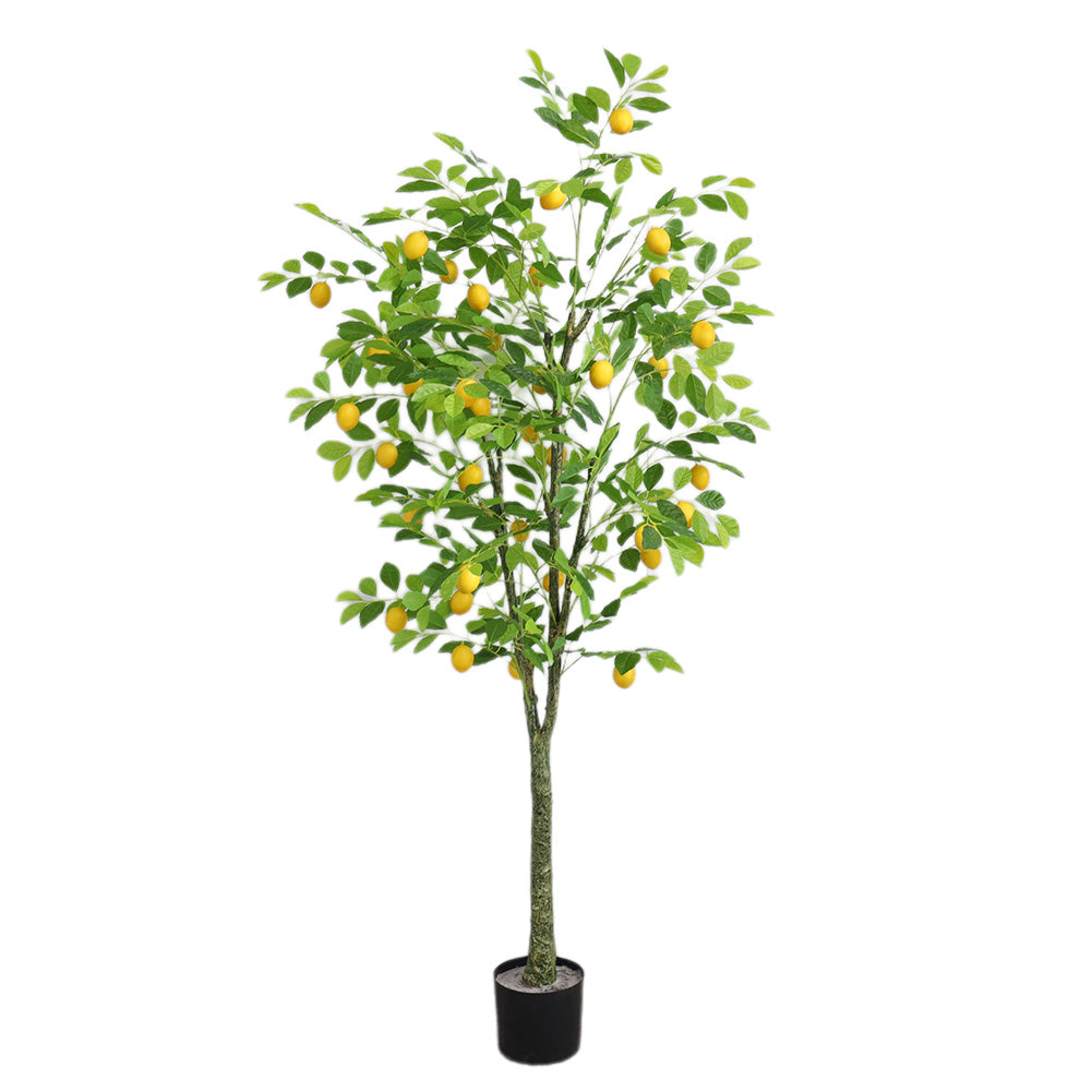 Albero di limone artificiale Garvee da 6 piedi - Realistico, facile da pulire, resistente alle intemperie - Decorazione per interni e verande, compatto, verde e giallo
