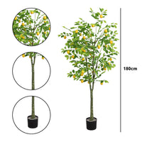 Albero di limone artificiale Garvee da 6 piedi - Realistico, facile da pulire, resistente alle intemperie - Decorazione per interni e verande, compatto, verde e giallo