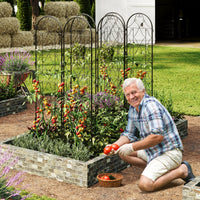 Set di 2 tralicci da giardino Garvee in metallo nero, resistenti alle intemperie, 74,8"H x 21,6"W, per rose e ortaggi in giardino e patio