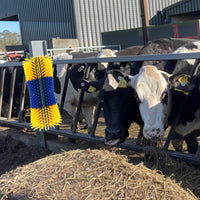 Set di spazzole tiragraffi extra large Garvee Livestock per cavalli e bovini, blu-verde, resistenti, in plastica, facili da montare