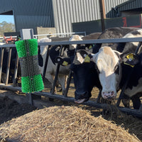 Spazzola per bestiame Garvee - Setole robuste, montaggio a vite per stalle e pascoli, design flessibile per bovini, capre, cavalli, maiali - Rimozione efficace dei parassiti