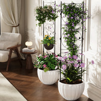 Garvee Set da 2 pezzi per traliccio da giardino, arco in ferro, robusto, nero, resistente alle intemperie, per rose, verdure, patio, 71,7"H x 20,5"W