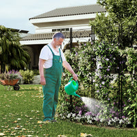 Garvee Set da 2 pezzi per traliccio da giardino, arco in ferro, robusto, nero, resistente alle intemperie, per rose, verdure, patio, 71,7"H x 20,5"W