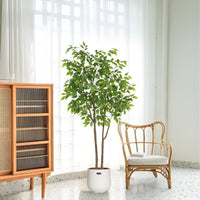 Pianta di ficus artificiale Garvee da 160 cm con vaso per decorare ufficio e soggiorno, verde