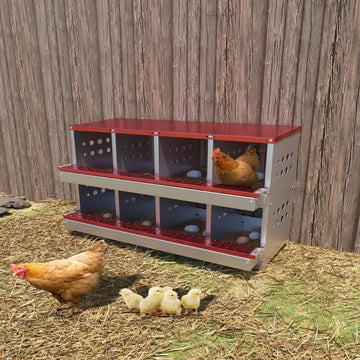 Garvee Scatola Nido per Galline in Acciaio Zincato 8 Fori con Vassoio Raccolta Uova, Posatoio, Ventilata per Pollai e Fattorie
