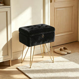 GARVEE Pouf da Trucco con Contenitore, Nero, con Seduta in Pelliccia Sintetica, Gambe Dorate e Vano Interno, per Camera, per Uso Quotidiano - Nero