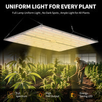 PPG_34559LYP