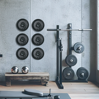 Garvee Set di 6 Porta Dischi Pesi da 2" Acciaio Nero - Montaggio Parete 300 libbre, Anelli Gomma - Perfetto per Festa del Papà, Palestra Casa