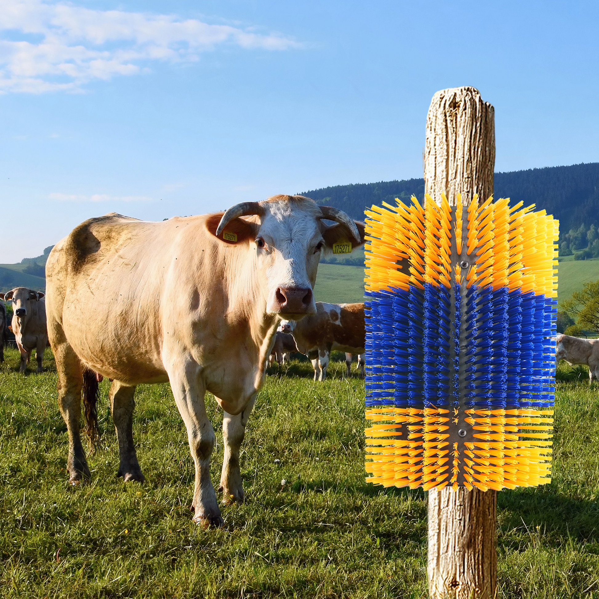 Spazzola per graffiare animali Garvee 2 pezzi per bovini, cavalli, capre - setole in nylon, montaggio flessibile, estensibile, fattoria e pascolo, versatile