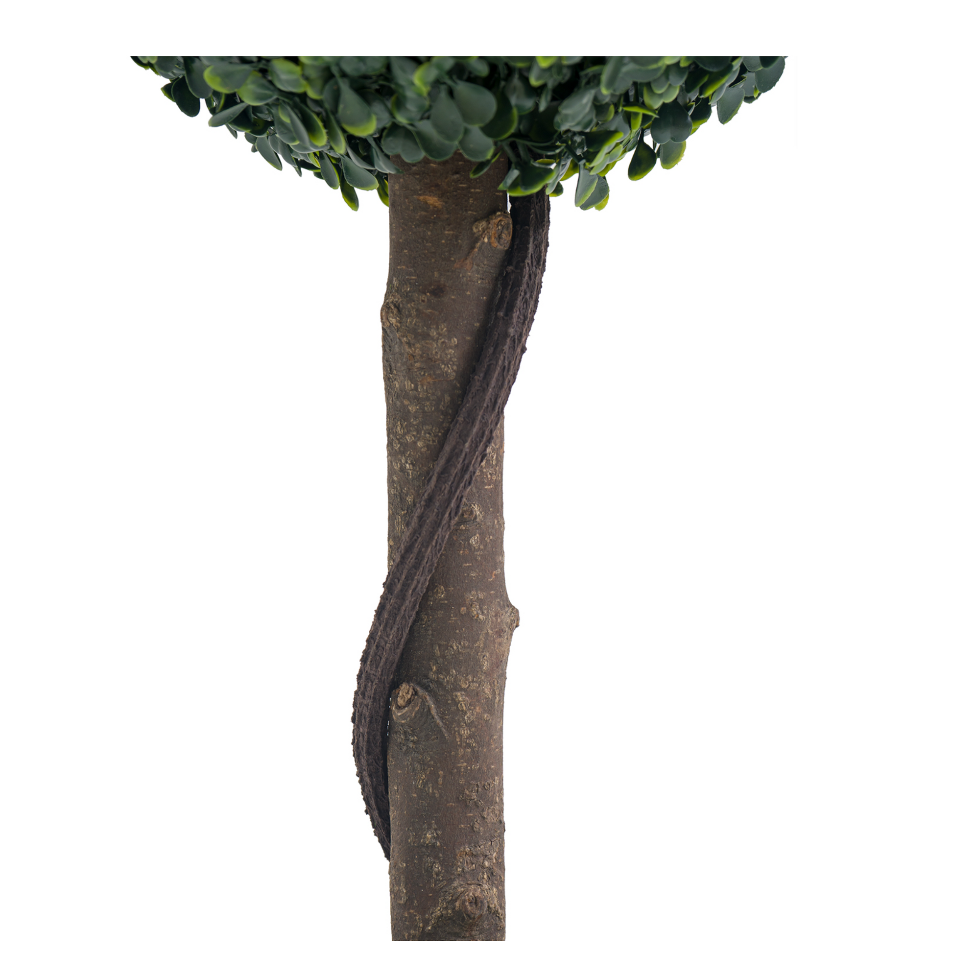 Garvee Set di 2 alberi artificiali in bosso da 24 pollici, malleabili e versatili, per decorazioni interne ed esterne, verde, plastica