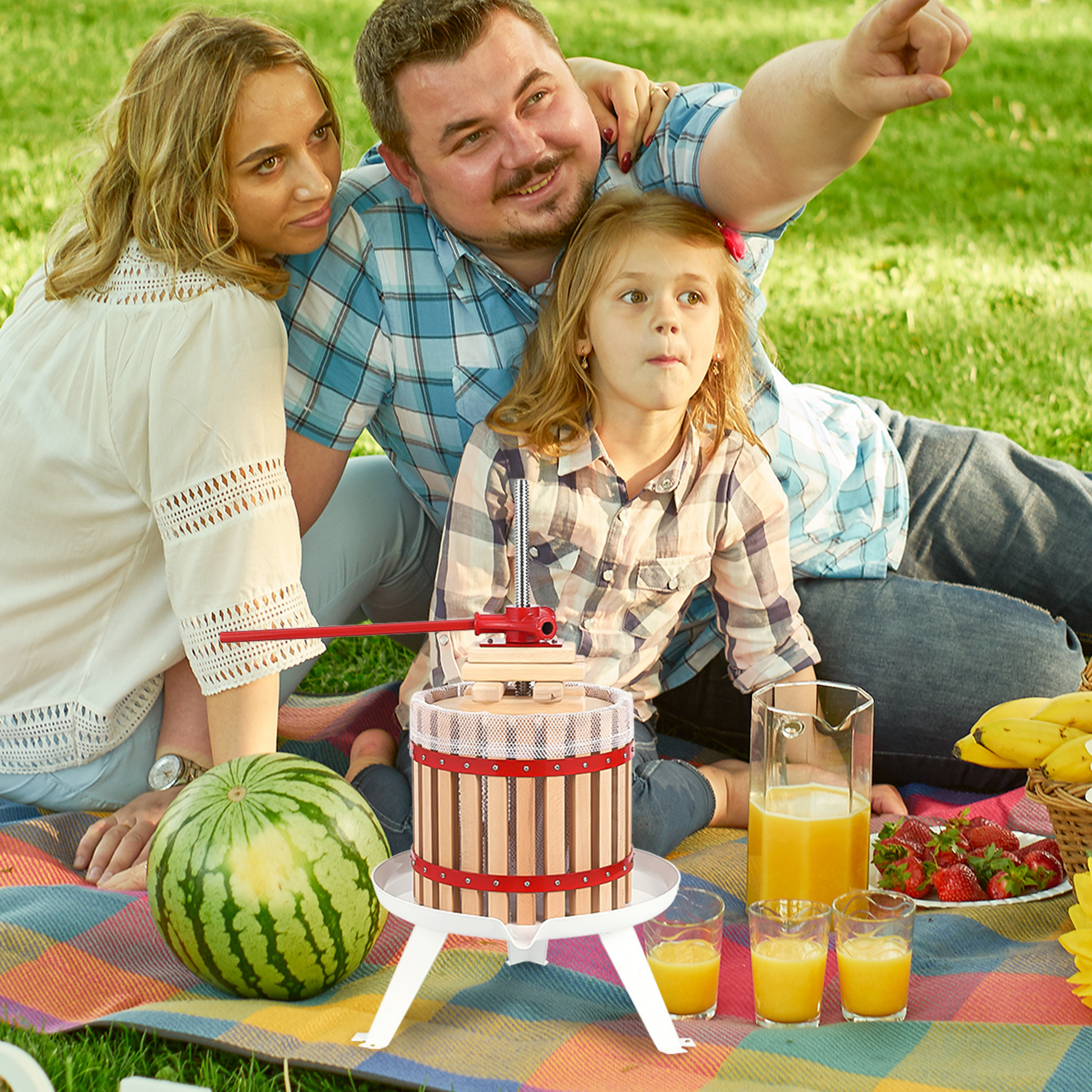 Garvee 3,2 Gal/12L Pressa per vino da frutta, cesto in legno con robusta struttura triangolare, per mele, uva, miele, pressa manuale con sacchetti filtro